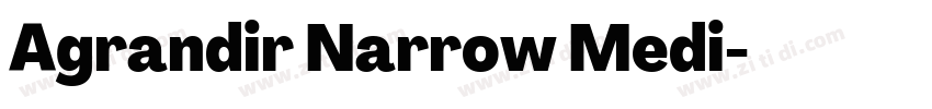 Agrandir Narrow Medi字体转换 Agrandir Narrow Medi字体转换